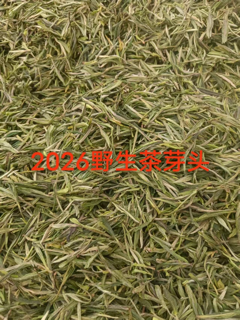特级野生有机茶2000元/斤，每年货很少，零0️⃣农残！