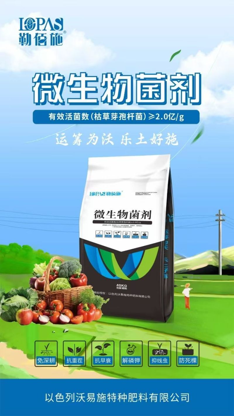颗粒微生物菌剂2亿