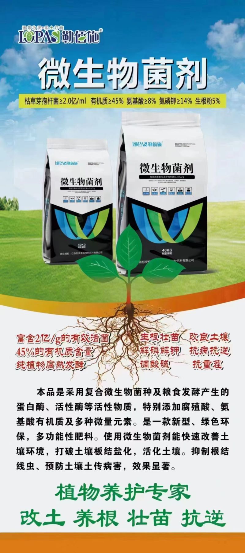 颗粒微生物菌剂2亿