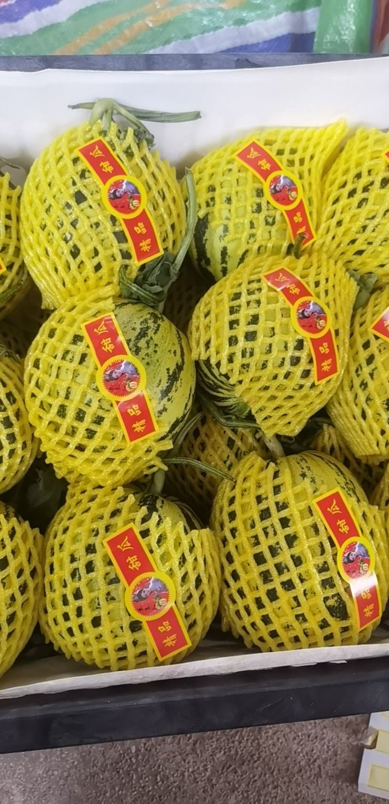 山东精品花美人花蕾小甜瓜大量上市承接全国档口商超电商