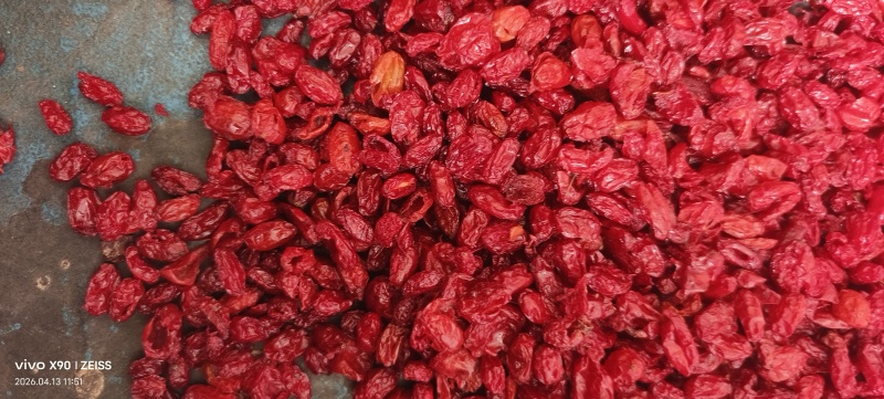 八百里伏牛山特产山茱萸