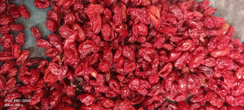 八百里伏牛山特产山茱萸