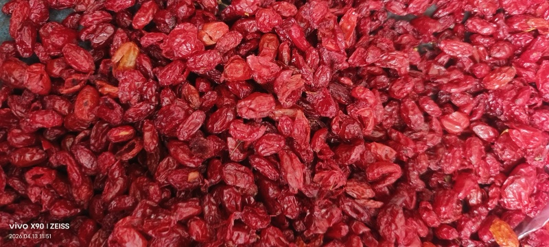 八百里伏牛山特产山茱萸