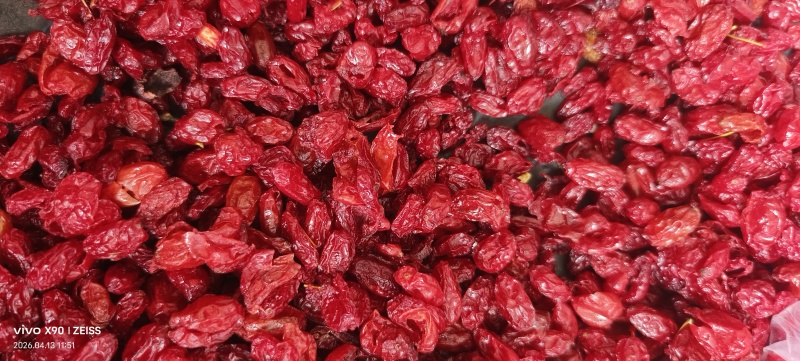 八百里伏牛山特产山茱萸