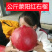 公斤蒙阳红石榴树苗，保证品种，质量，欢迎实地签约合同种植