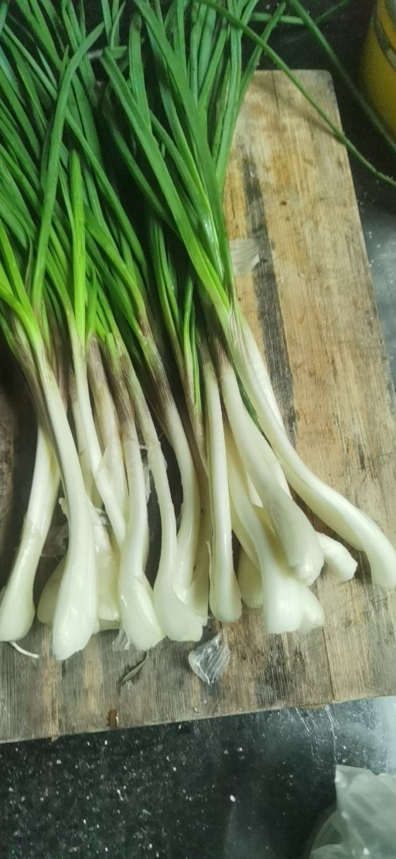 藠头