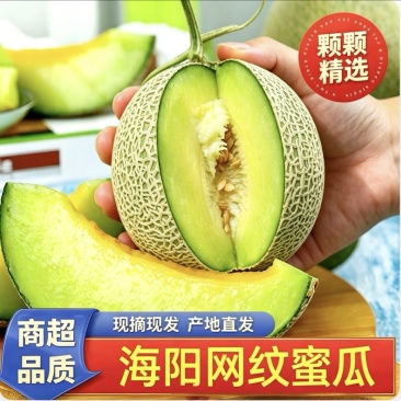 《热卖》山东海阳网纹瓜/大量上市/对接全国市场商超