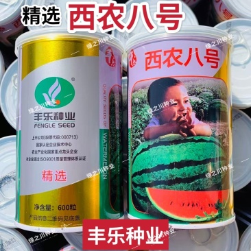 丰乐西农八号西瓜种子中熟花皮椭圆大果红肉沙瓤西瓜种籽抗病