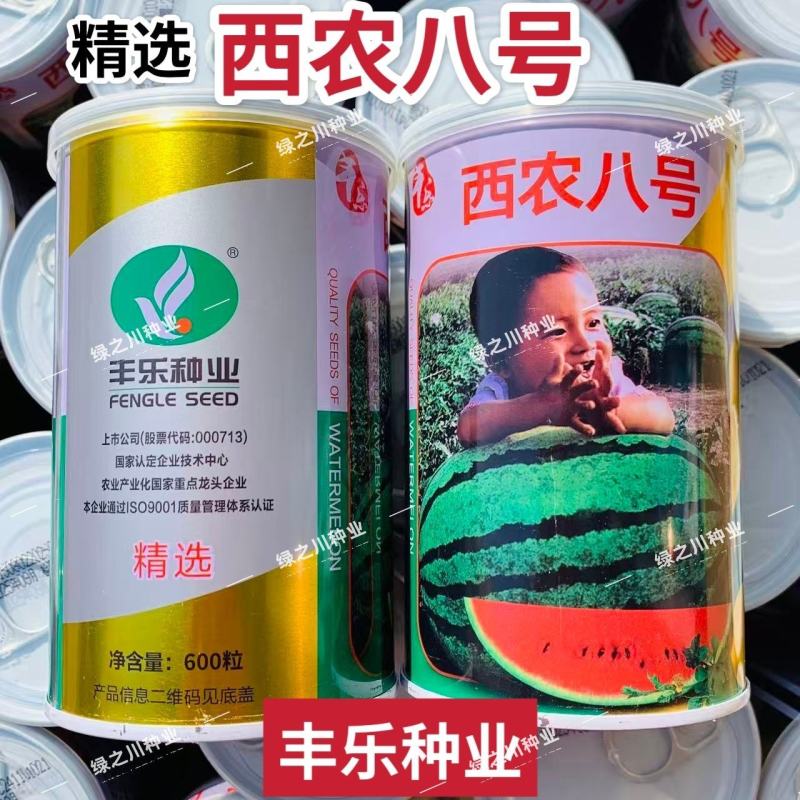 丰乐西农八号西瓜种子中熟花皮椭圆大果红肉沙瓤西瓜种籽抗病