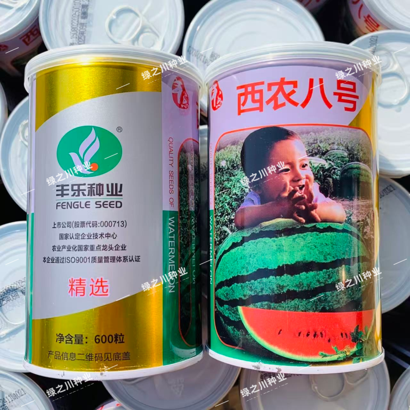 丰乐西农八号西瓜种子中熟花皮椭圆大果红肉沙瓤西瓜种籽抗病