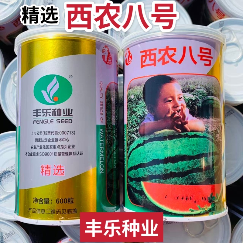 丰乐西农八号西瓜种子中熟花皮椭圆大果红肉沙瓤西瓜种籽抗病