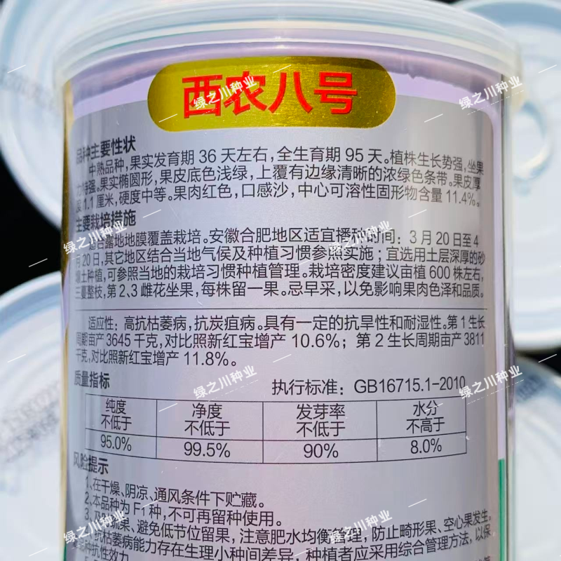 丰乐西农八号西瓜种子中熟花皮椭圆大果红肉沙瓤西瓜种籽抗病