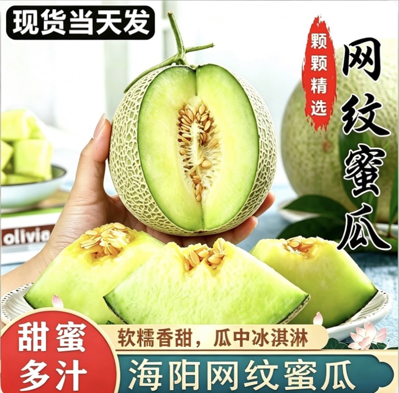 《精选》山东烟台海阳网纹瓜/甜蜜多汁/对接各大市场商超