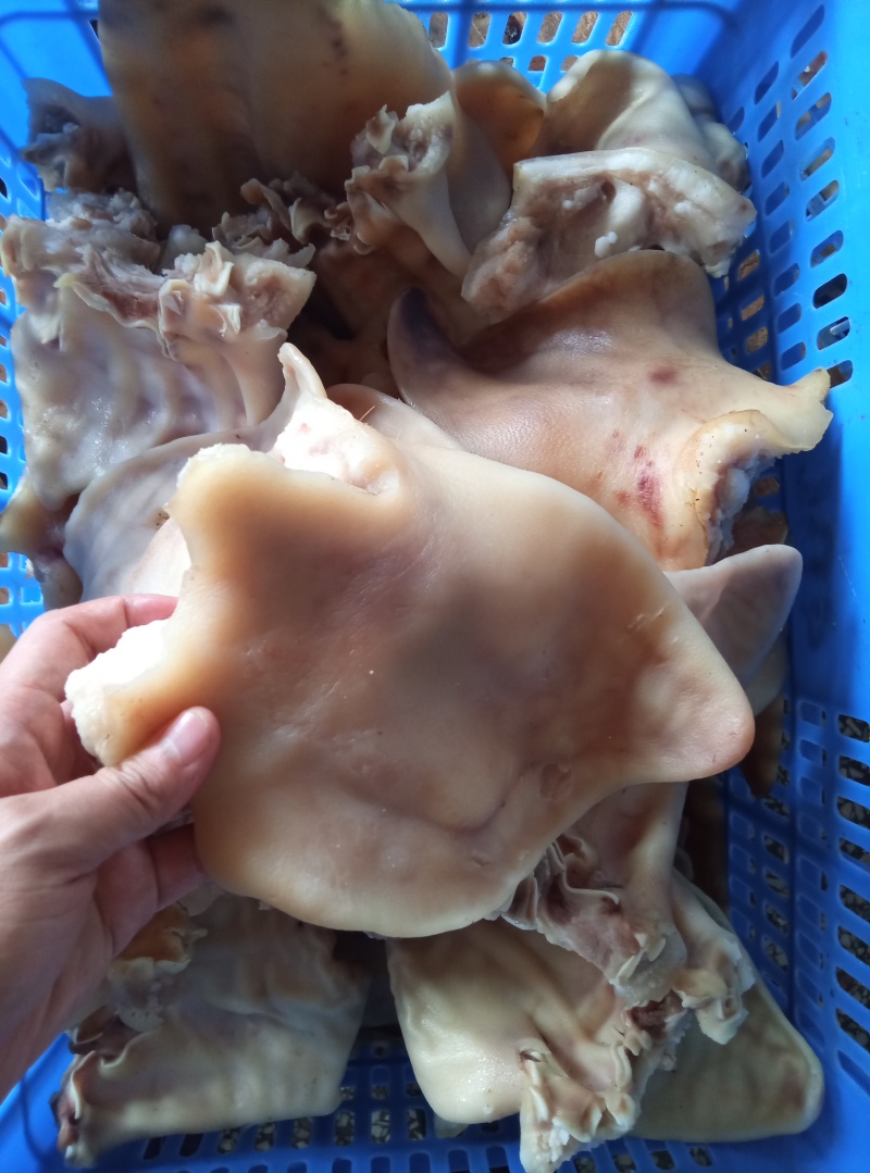 【卤味】卤猪耳朵丝，新鲜现卤发货，真空包装，源头厂家直销