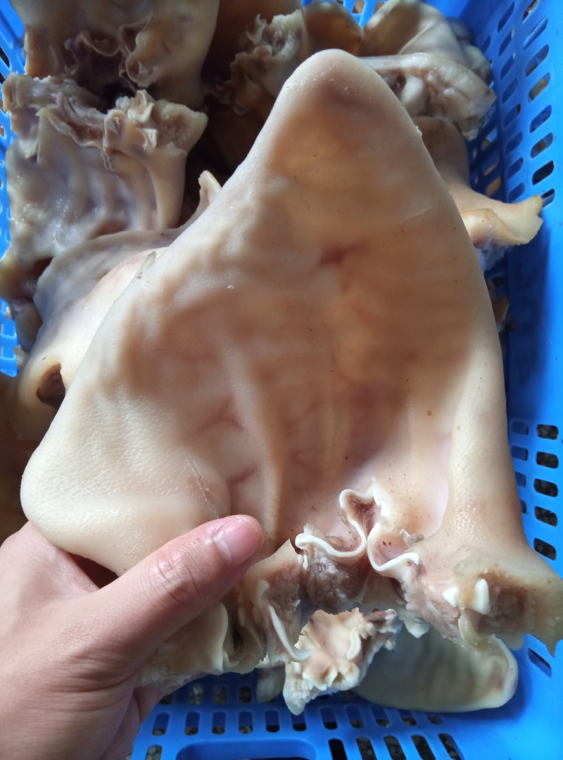 【卤味】卤猪耳朵丝，新鲜现卤发货，真空包装，源头厂家直销