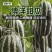 大荔县博阳9大量上市万亩产地一手货源一次合作永久朋友