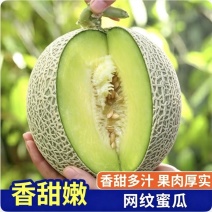 《推荐》山东海阳网纹瓜/网纹哈密瓜/货源充足质量有保障