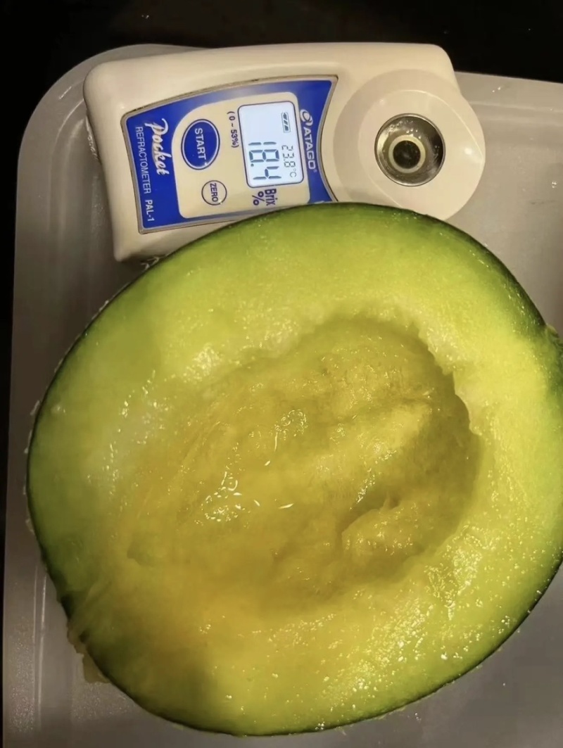 《推荐》山东海阳网纹瓜/网纹哈密瓜/货源充足质量有保障