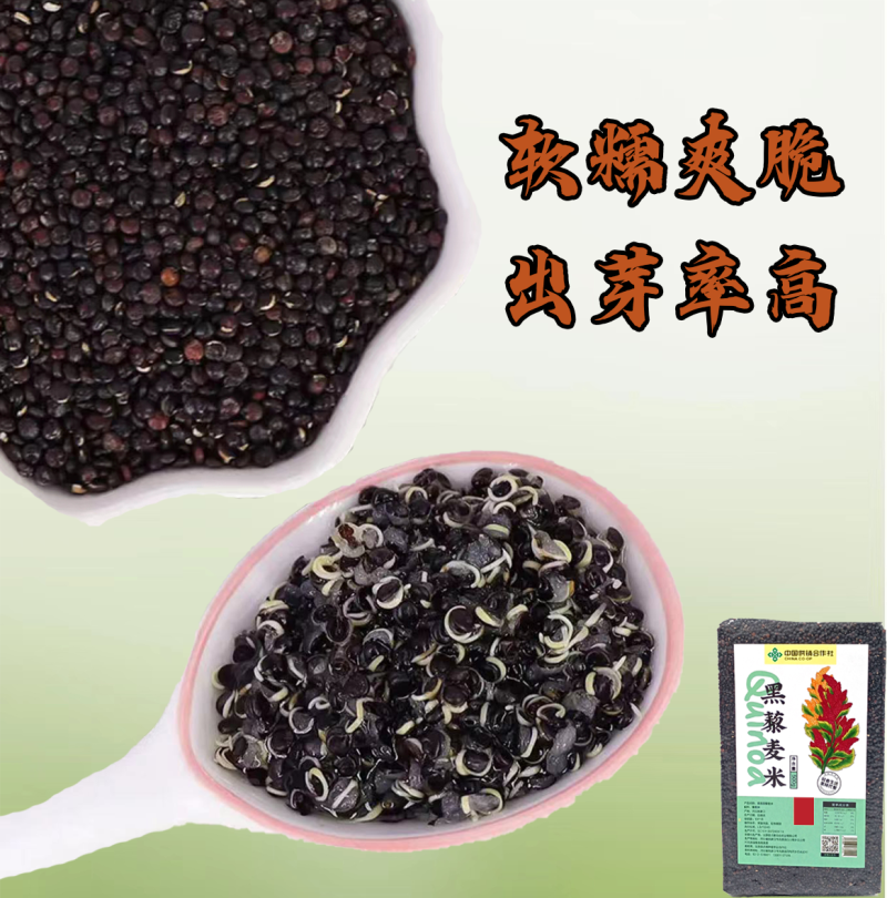 黑藜麦米500g
