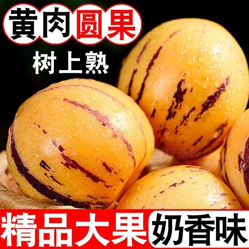 【一件代发】云南石林人参果大果圆果新鲜当季整箱树上熟应季