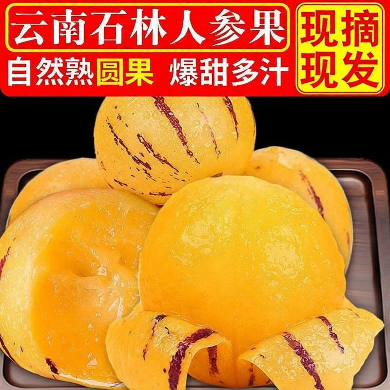 【一件代发】云南石林人参果大果圆果新鲜当季整箱树上熟应季