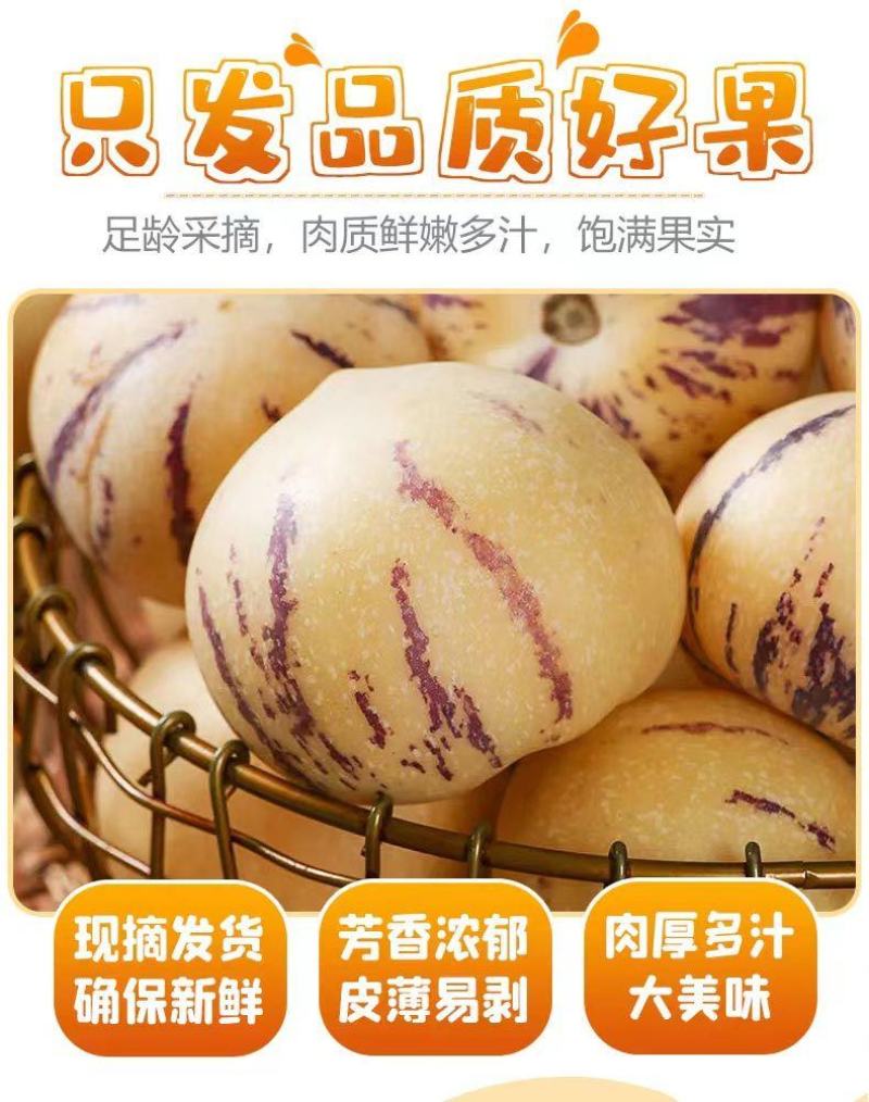 【一件代发】云南石林人参果大果圆果新鲜当季整箱树上熟应季