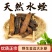广西野生金边水蛭中药材宽体水蛭金线蚂蝗水蛭清水菲牛蚂蟥