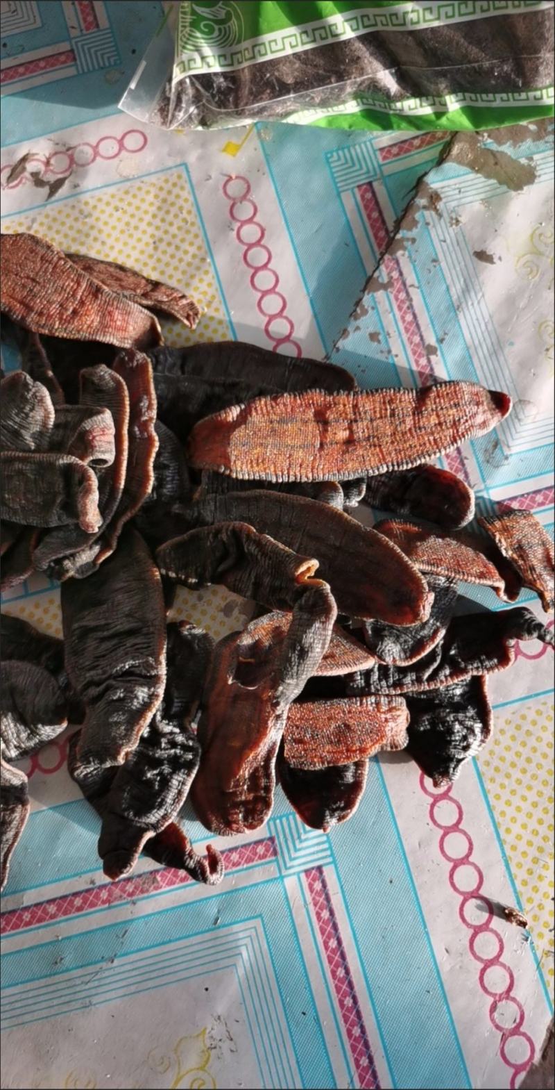 广西野生金边水蛭中药材宽体水蛭金线蚂蝗水蛭清水菲牛蚂蟥