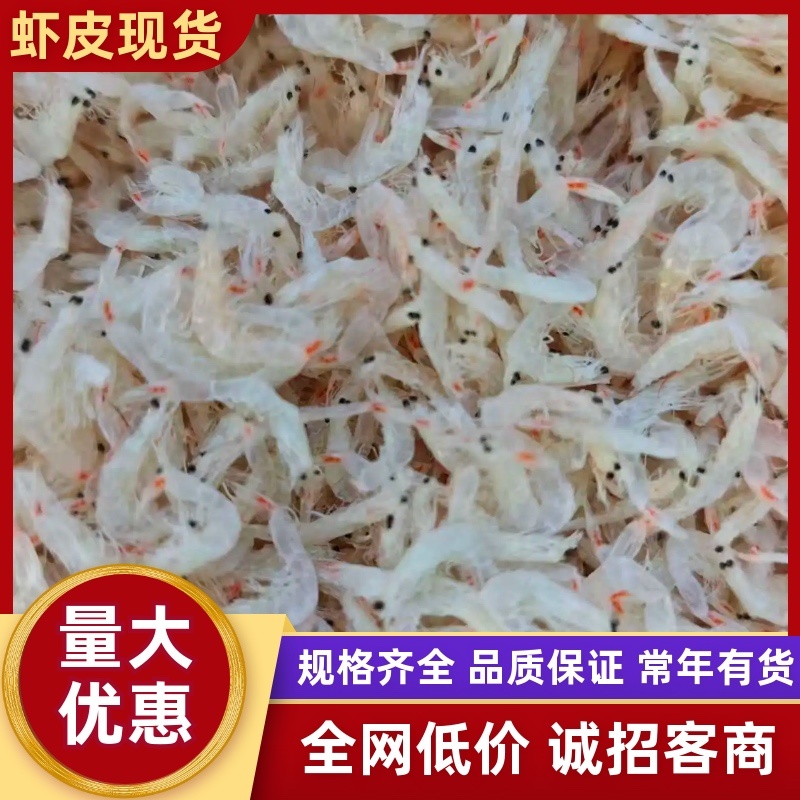 精品虾皮量大从优对接全国对接各大商超欢迎采购
