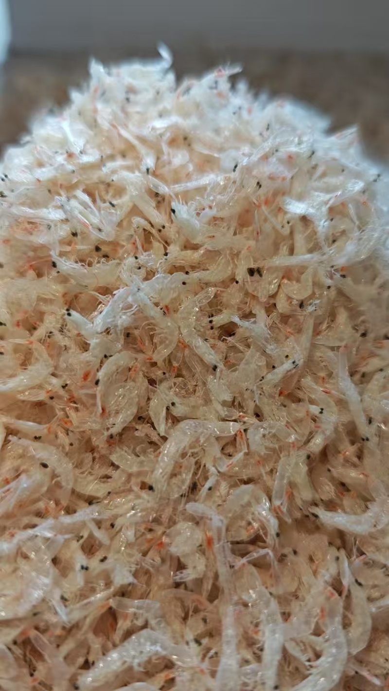 精品虾皮量大从优对接全国对接各大商超欢迎采购