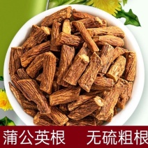 蒲公英根茶蒲公英根老根天然新鲜长白山婆婆丁带根干货