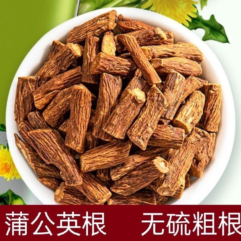 蒲公英根茶蒲公英根老根天然新鲜长白山婆婆丁带根干货