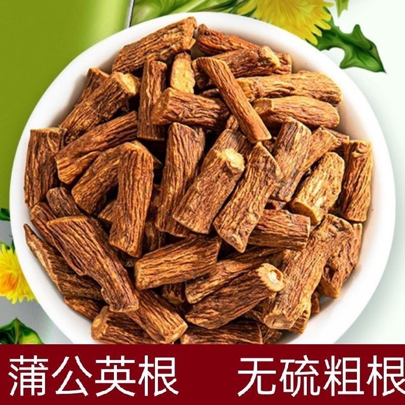 蒲公英根茶蒲公英根老根天然新鲜长白山婆婆丁带根干货