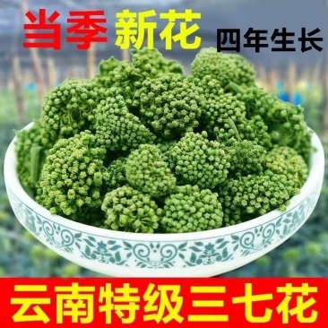 云南文山特级三七花养生田七花茶精选新花云南三七花***