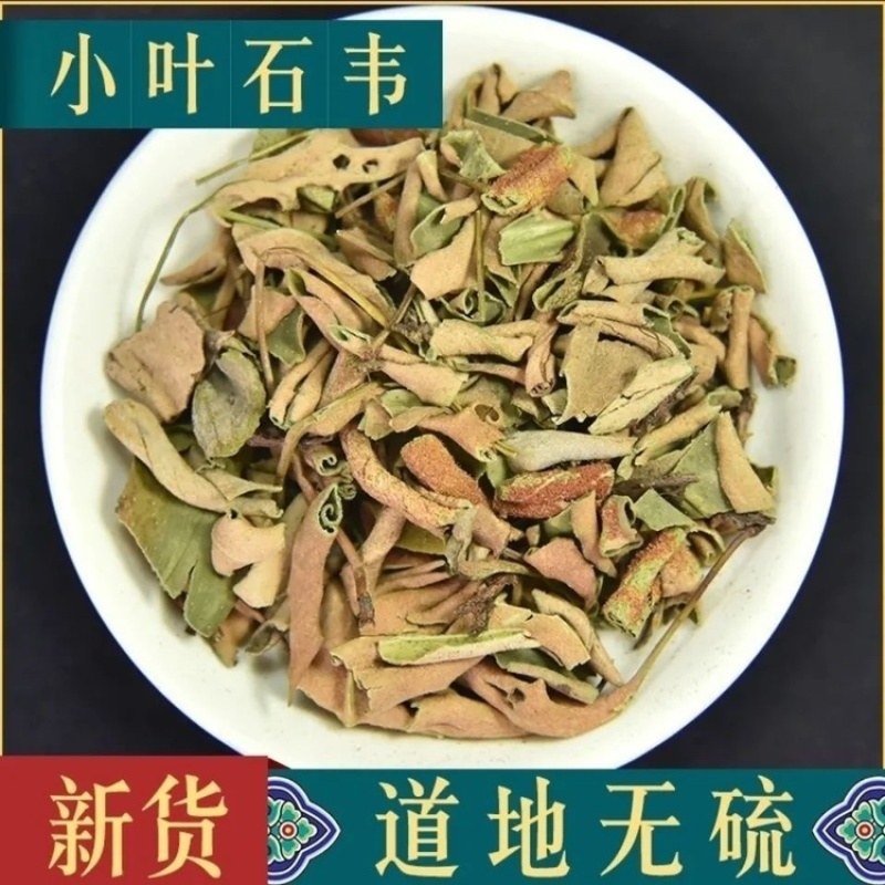 石苇中药材精选野生正品新鲜干货刀口药石樜石皮金星草石伟