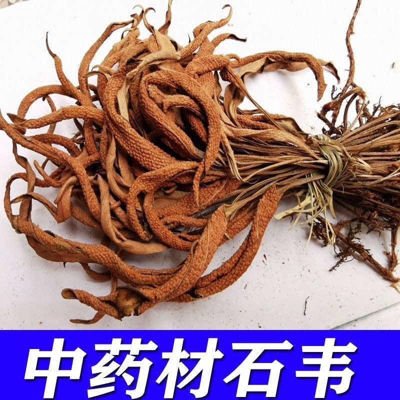 石苇中药材精选野生正品新鲜干货刀口药石樜石皮金星草石伟