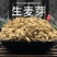生麦芽生麦芽大麦芽滋补中草药谷芽稻芽