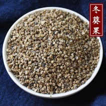 云南中药材冬葵果冬葵实冬葵籽葵菜子
