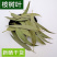 桉树叶大叶桉大桉树叶橡树叶桉叶中药材批发