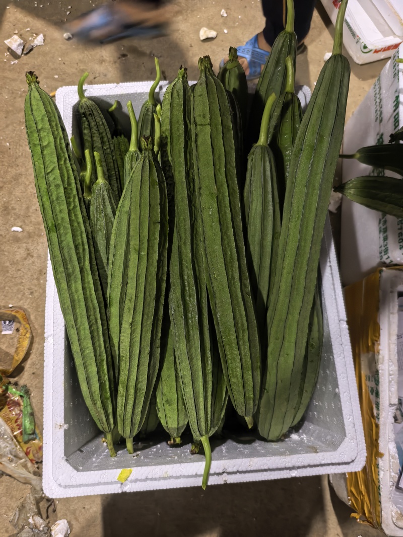 八角丝瓜