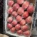 【实力推荐】山西纸加膜红富士苹果🍎万荣产地量大从优