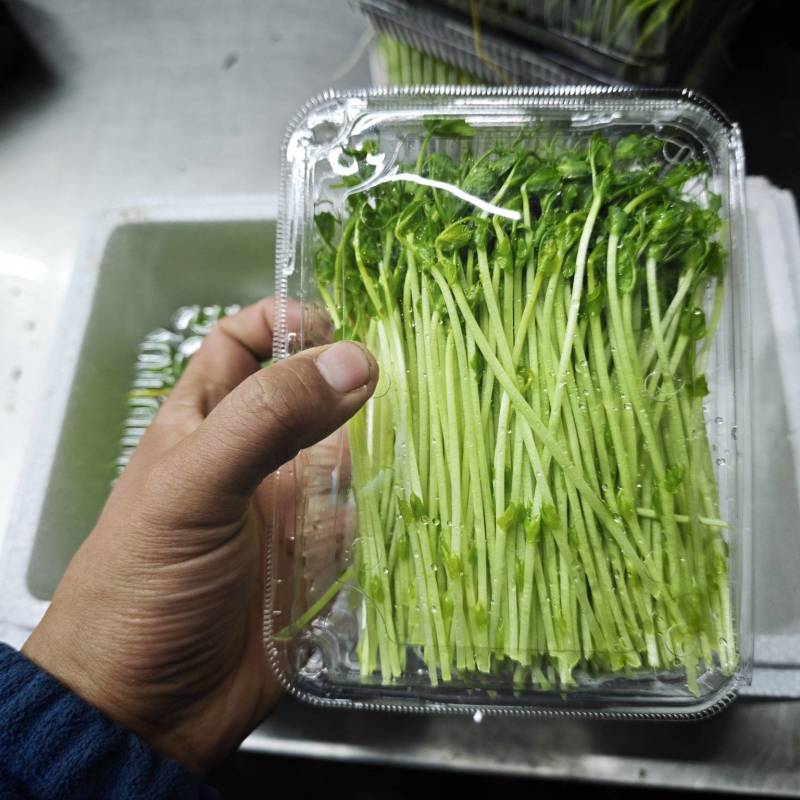 250克净重豌豆苗
