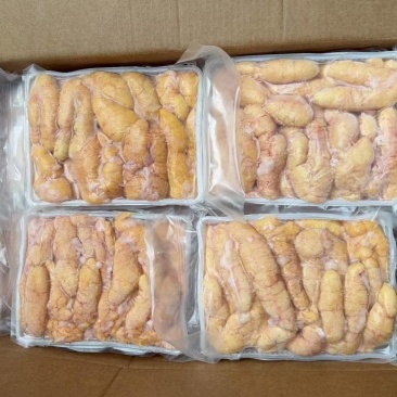 精品黑鱼籽广东源头厂家直发