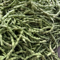精品大青豆大量上市价格优美价格优美