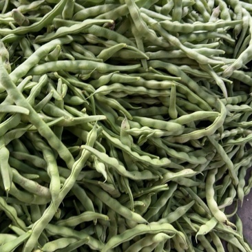 精品大青豆大量上市价格优美价格优美