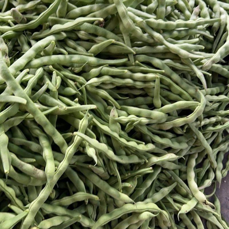 精品大青豆大量上市价格优美价格优美