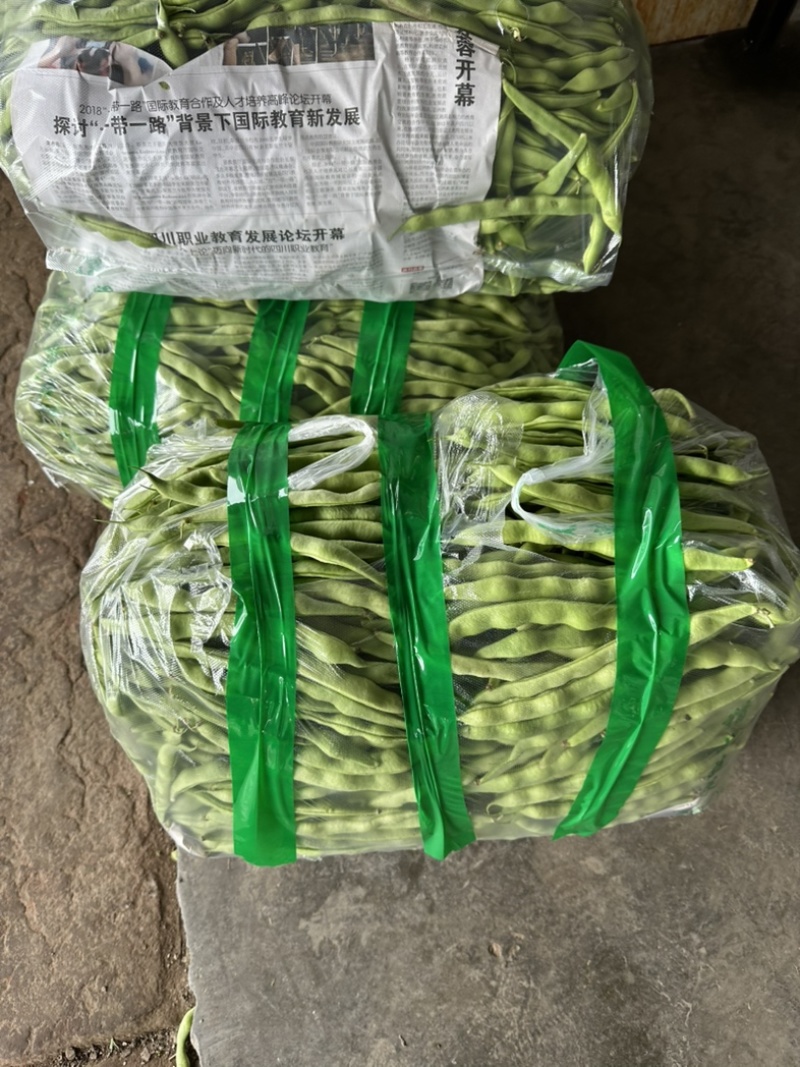 精品大青豆大量上市价格优美价格优美