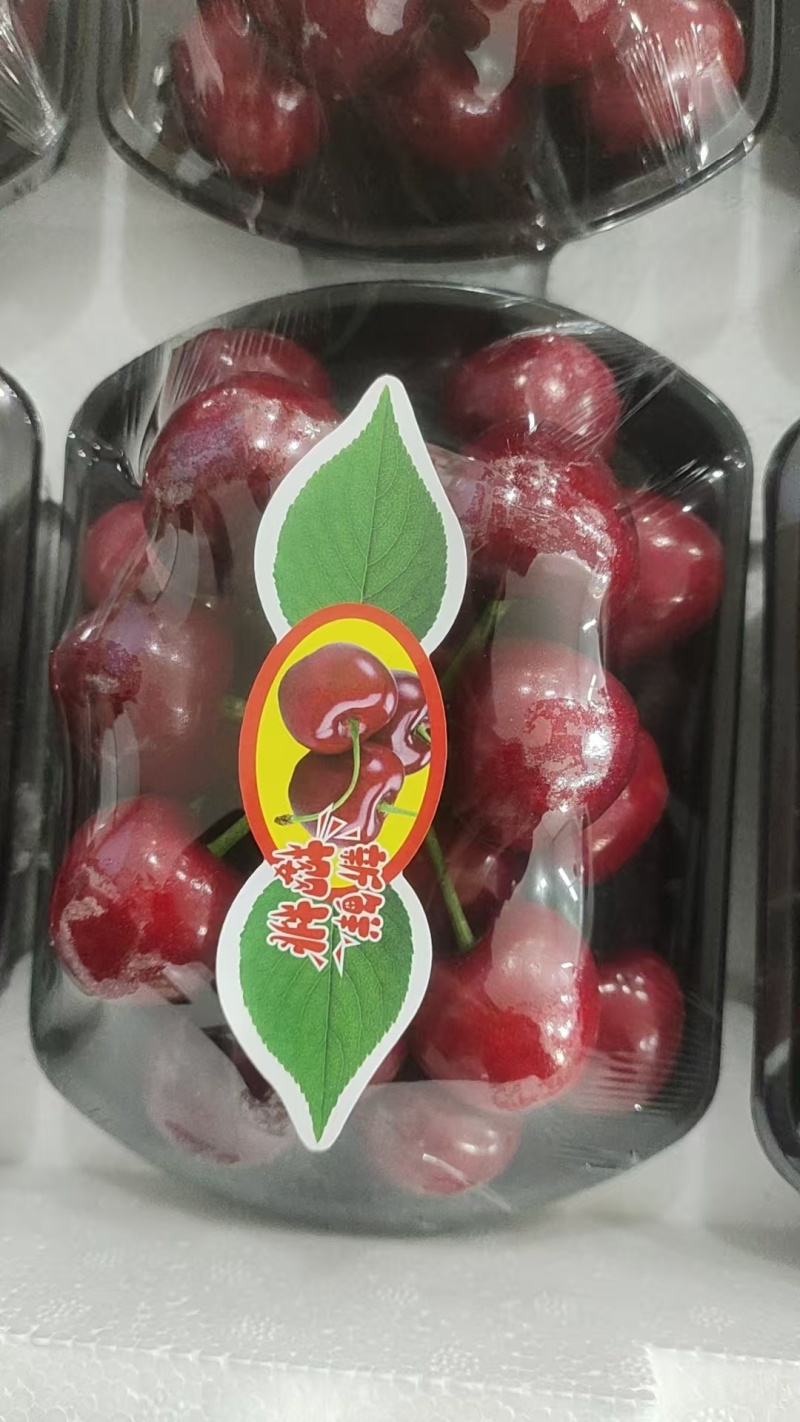 大樱桃