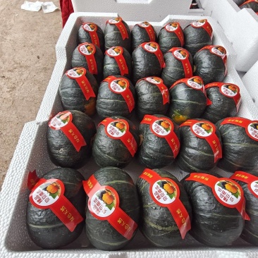 贝贝南瓜，产地直发一手货源质量保证规格齐全。