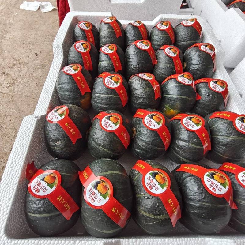 贝贝南瓜，产地直发一手货源质量保证规格齐全。